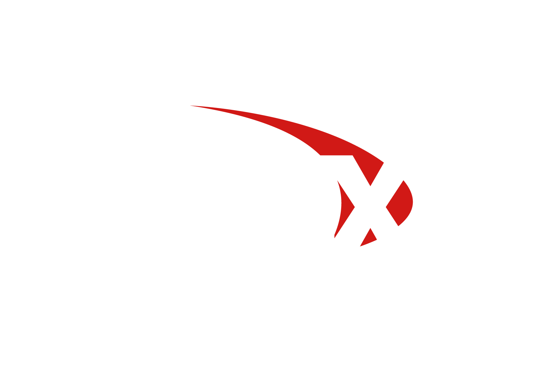 Logo Onix - negativa-01